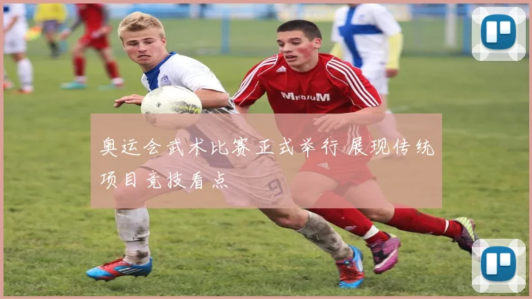 奥运会武术比赛正式举行 展现传统项目竞技看点