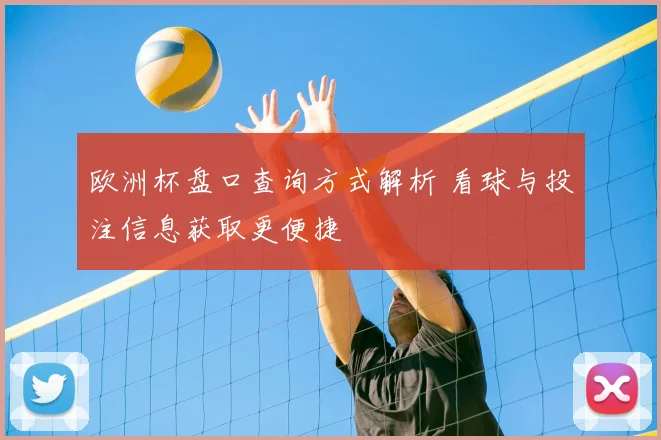 欧洲杯盘口查询方式解析 看球与投注信息获取更便捷