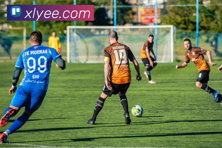 leyu乐鱼中国官方网站平台生态图